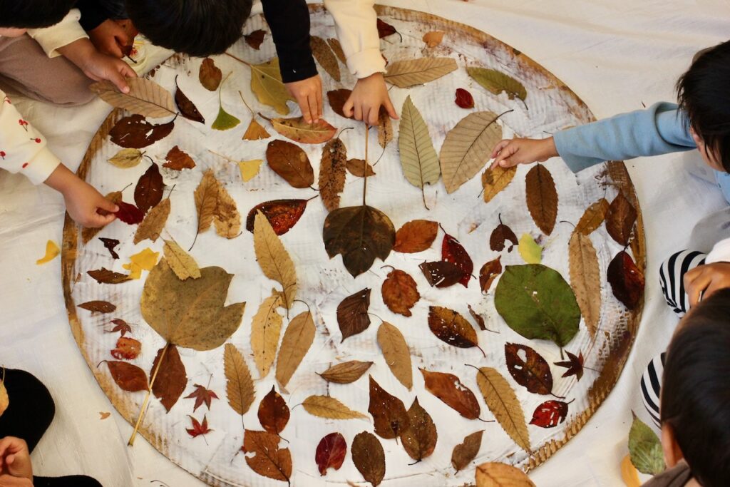 秋の素材を楽しむケーキづくり ２歳児以上の遊び【ごんべいの里保育園 様/愛知県】