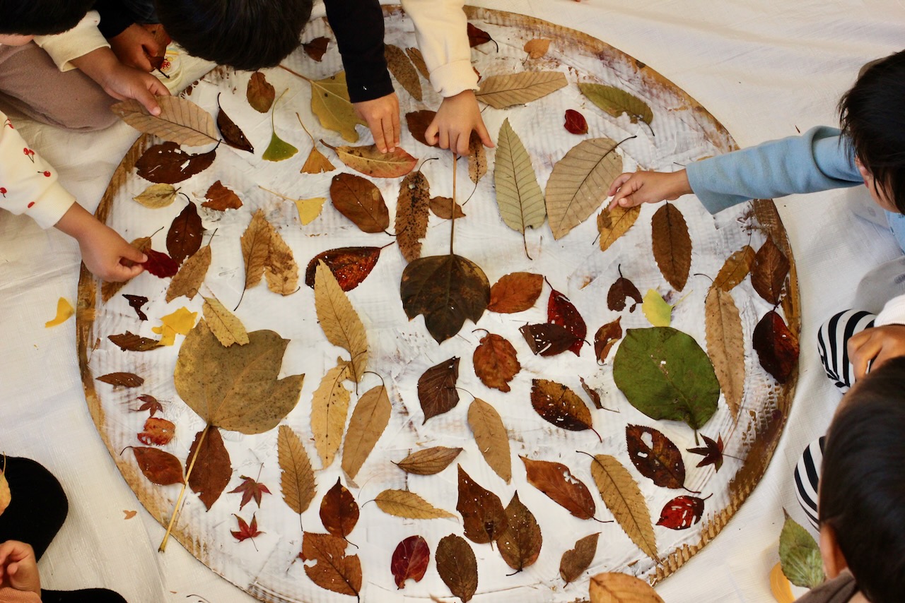 秋の素材を楽しむケーキづくり ２歳児以上の遊び【ごんべいの里保育園 様/愛知県】